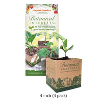 Load image into Gallery viewer, Botanical Interests Recycled Paper Pots