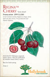 Load image into Gallery viewer, Cherry, Regina semidwarf 7 gallon