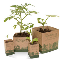 Load image into Gallery viewer, Botanical Interests Recycled Paper Pots