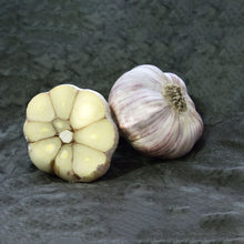 Load image into Gallery viewer, Garlic Bulb