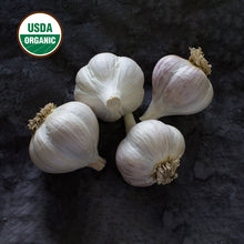 Load image into Gallery viewer, Garlic Bulb