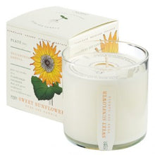 Load image into Gallery viewer, Candle, Kobo Pure Soy