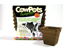 Load image into Gallery viewer, Cow Pots