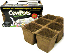Load image into Gallery viewer, Cow Pots