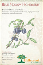 Load image into Gallery viewer, Honeyberry, Blue Moon 2 gal