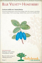 Load image into Gallery viewer, Honeyberry, Blue Velvet 2 gal