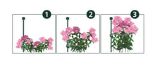 Load image into Gallery viewer, Peacock Garden Support System (pieces sold separate)