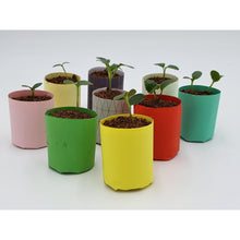 Load image into Gallery viewer, Pot Making Gift Set