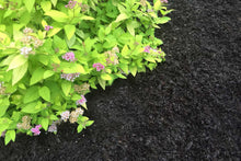 Load image into Gallery viewer, Bulk Sweet Peet