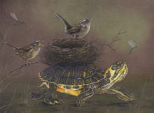 Load image into Gallery viewer, Cards by Colored Pencil Artist Eileen Sorg