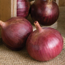 Load image into Gallery viewer, Onions
