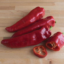 Load image into Gallery viewer, Peppers - Hot
