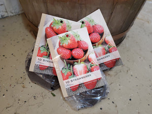 Strawberry 'Albion' bareroot 10/pk