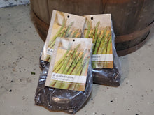 Load image into Gallery viewer, Asparagus, bare root - Mary Washington
