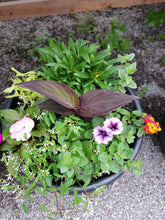 Load image into Gallery viewer, Patio Pot 16&quot;
