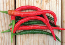 Load image into Gallery viewer, Peppers - Hot
