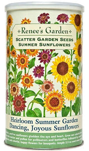 Scatter Garden Seeds - Summer Sunflowers