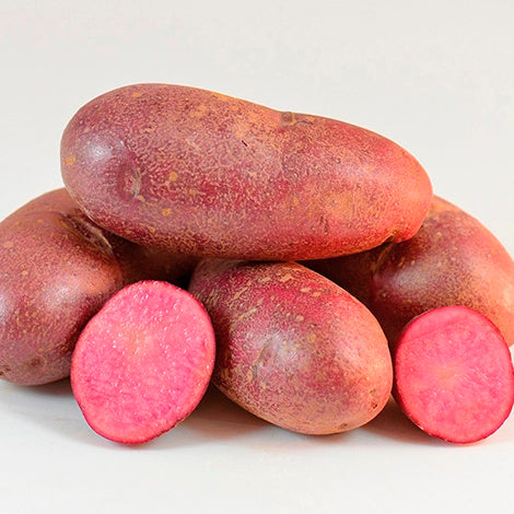 Adirondack Red Potato