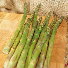 Load image into Gallery viewer, Asparagus, bare root - Mary Washington
