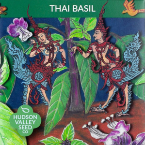 Basil, Thai