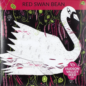 Bean, Red Swan