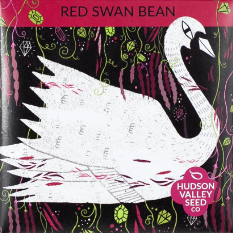 Bean, Red Swan