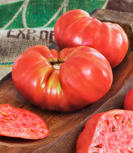 Tomato - Beefsteak