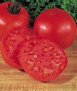Tomato - Beefsteak