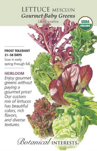 Lettuce, Mesclun - Gourmet Baby Greens