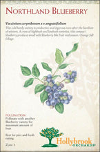 Load image into Gallery viewer, Blueberry, Northland 5 gallon
