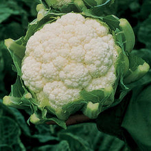 Load image into Gallery viewer, Cauliflower 4 pack
