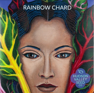 Chard, Rainbow