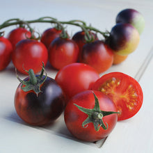 Load image into Gallery viewer, Tomato - Cherry
