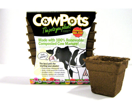 Cow Pots