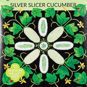 Cucumber, Silver Slicer