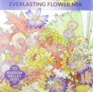Everlasting Flower Mix