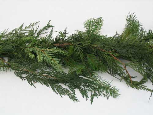 Roping - Mixed Evergreen (sold by the yard)