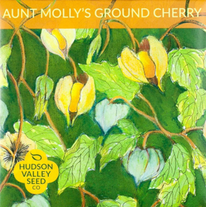 Ground Cherry, Aunt Molly's