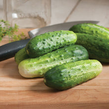 Load image into Gallery viewer, Cucumbers
