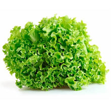 Load image into Gallery viewer, Lettuce 4 pack
