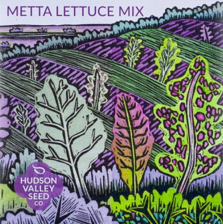 Lettuce, Metta Mix