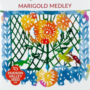 Marigold Medley