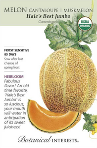 Melon, Cantaloupe/Muskmelon - Hale's Best Jumbo