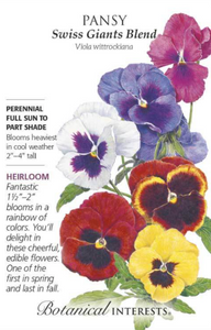 Pansy, Sweet Giants Blend