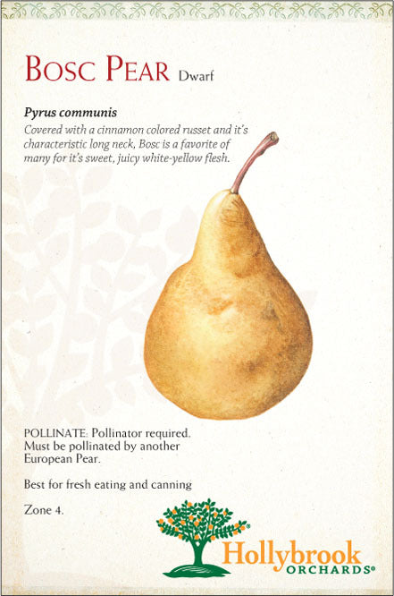 PERBOS080US1 | Golden Bosc Pear (70/80CT)