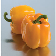 Load image into Gallery viewer, Peppers - Sweet/Bell
