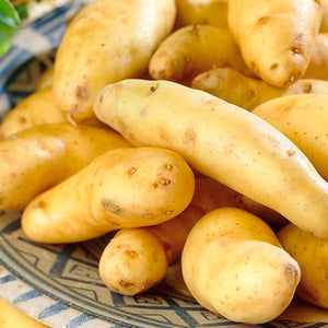 Potato, Austrian Crescent 5pp
