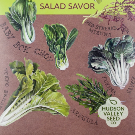 Salad Savor