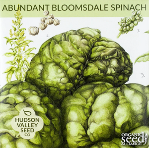 Spinach, Abundant Bloomsdale