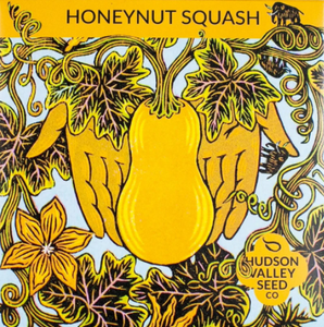 Squash, Honeynut